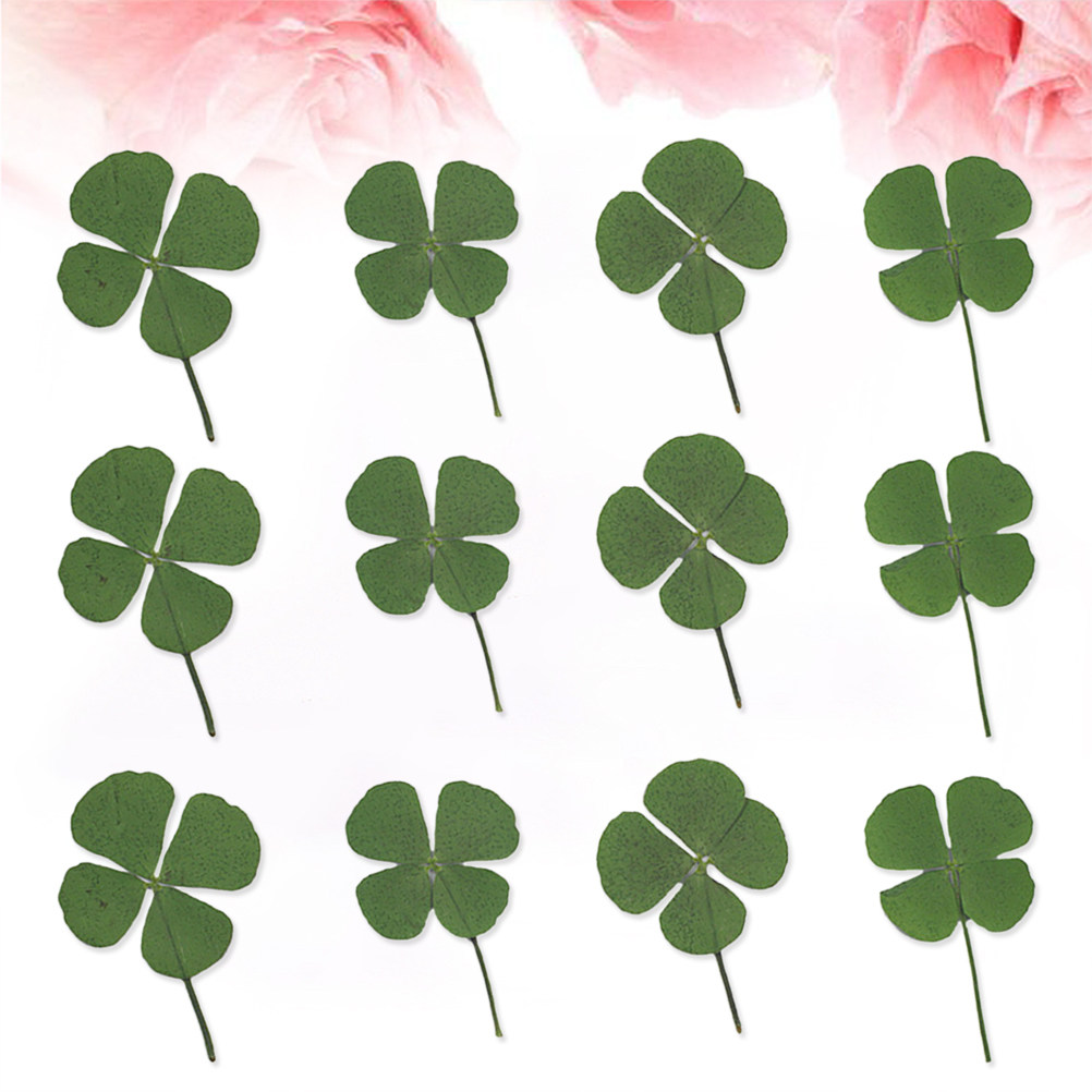 ใบโคลเวอร์แห้ง 12 ชิ้น วัสดุงา - Resin Craft Material บทวิจารณ์และราคา