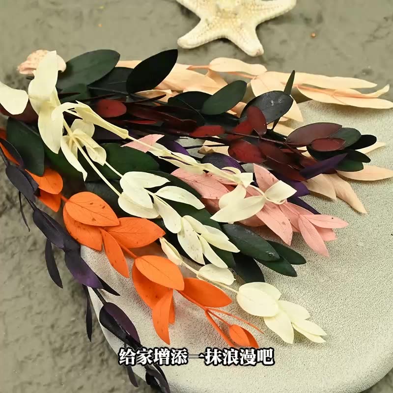 ดอกไม้แห้ง ดอกไม้ประดิษฐ์สำหรั - Flower Preservation Resin บทวิจารณ์และราคา